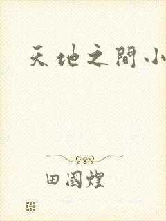 天地之间小说
