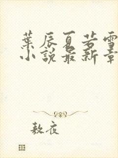 叶辰夏若雪孙怡小说最新章节