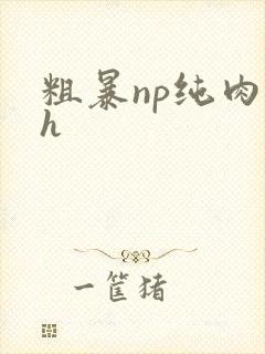 粗暴np纯肉高h