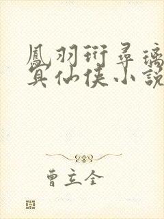 凤羽珩寻璃玄天冥仙侠小说