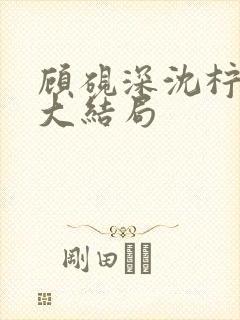 顾砚深沈柠后续大结局