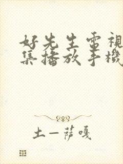 好先生电视剧全集播放手机版