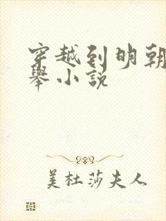 穿越到明朝考科举小说