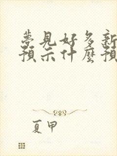 梦见好多新袜子预示什么预兆封面