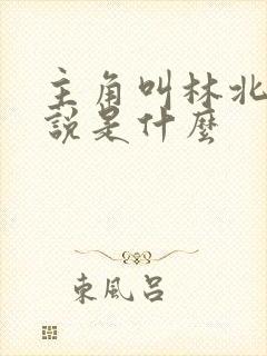 主角叫林北的小说是什么封面