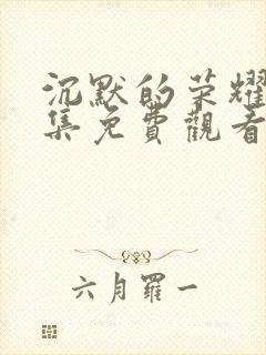 沉默的荣耀40集免费观看全集高清版