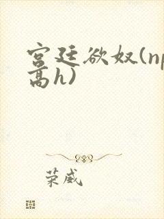 宫廷欲奴(np高h)