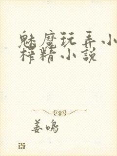 魅魔玩弄小太正榨精小说