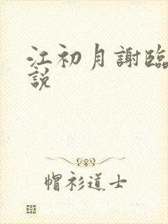 江初月谢临渊小说