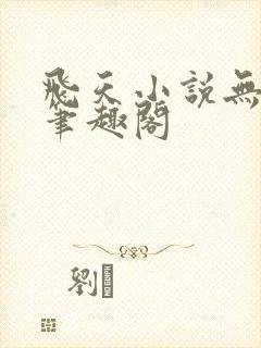 飞天小说无弹窗笔趣阁封面