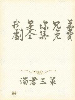 我是你兄弟电视剧全集免费观看高清