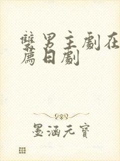 双男主剧在线推荐日剧