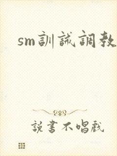 sm训诫调教文