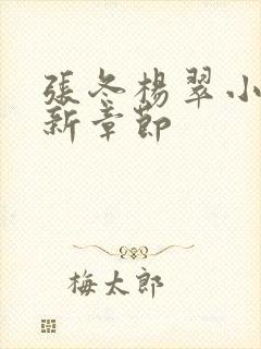 张冬杨翠小说最新章节