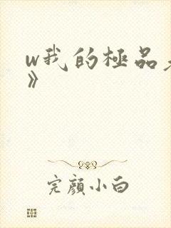 w我的极品老婆》