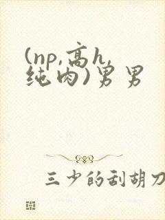 (np,高h,纯肉)男男封面
