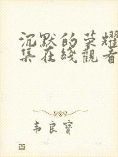 沉默的荣耀39集在线观看