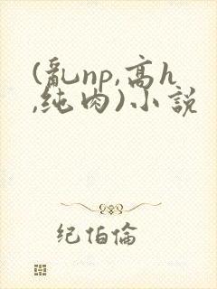 (乱np,高h,纯肉)小说