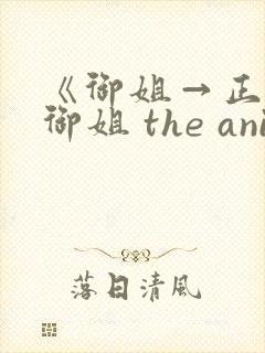 《御姐→正太←御姐 the animation》