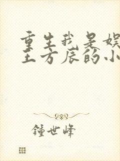 重生我是娱乐天王方辰的小说封面