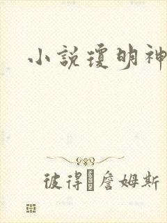 小说琼明神女录封面