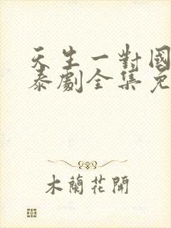 天生一对国语版泰剧全集免费观看封面