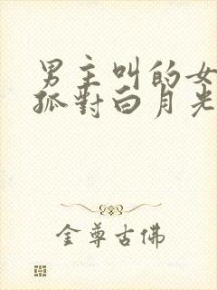 男主叫的女尊:孤对白月光强取豪夺小说封面