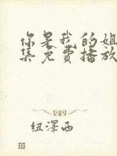 你是我的姐妹全集免费播放电视剧