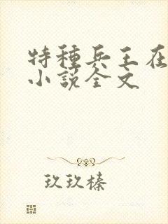 特种兵王在山村小说全文