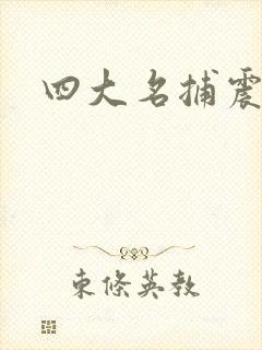 四大名捕震关东