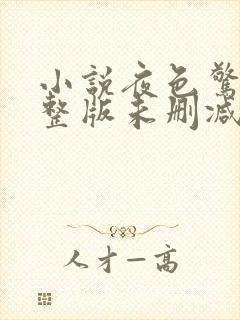 小说夜色惊人完整版未删减小说