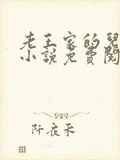 老王家的儿媳妇小说免费阅读