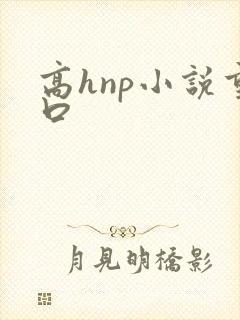 高hnp小说重口封面