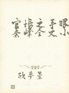 官场之手眼通天秦峰全文小说封面