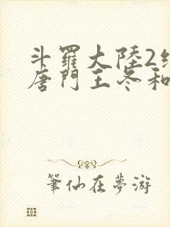 斗罗大陆2绝世唐门王冬和霍雨浩