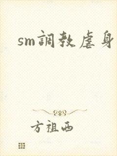 sm调教虐身文
