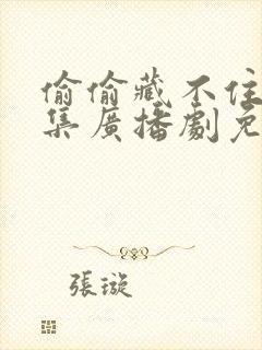 偷偷藏不住18集广播剧免费听封面