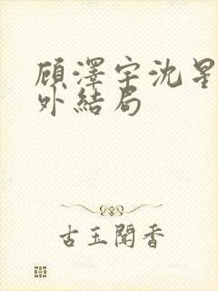 顾泽宇沈星晚番外结局