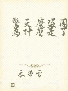 惊天魔盗团亨莉为什么走了