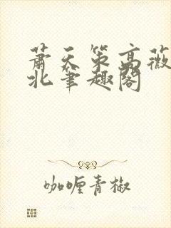 萧天策高薇薇燕北笔趣阁