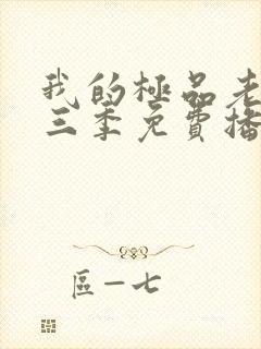 我的极品老婆第三季免费播放电视剧封面