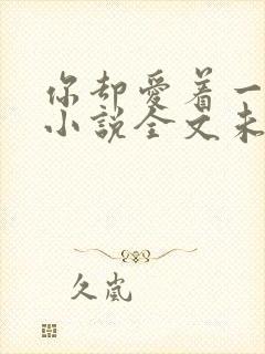 你却爱着一个他小说全文未删减免费