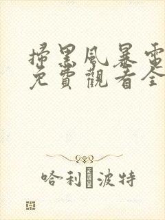 扫黑风暴电视剧免费观看全集完整版