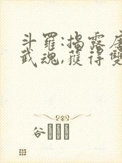 斗罗:揭露唐三武魂,获得双穿门 寒三万封面