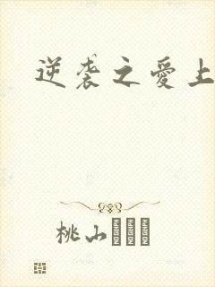 逆袭之爱上情敌