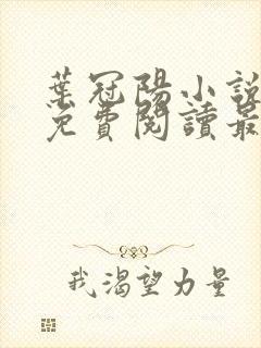 叶冠阳小说全文免费阅读最新章节