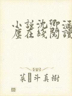 小说沈卿涵林新尘在线阅读封面