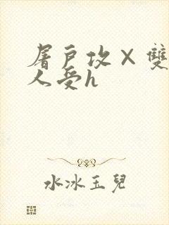 屠户攻×双性美人受h