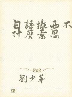 日语撒西不理是什么意思封面