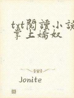 txt阅读小说掌上娇奴